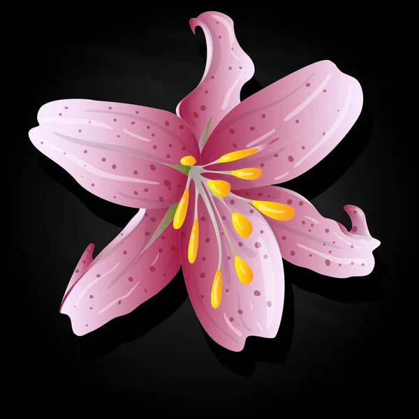 Mooie Lily Bloem Set Bloemenelementen Kleur Vector Illustratie — Stockvector