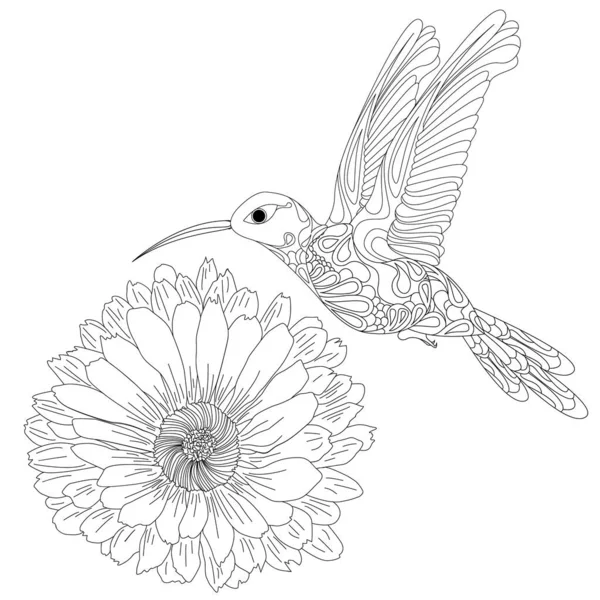 Wektor Ilustracja Kolibri Lub Kolibri Kwiatem Izolowane Białym Tle Monochromatyczne — Wektor stockowy