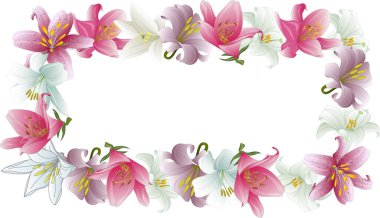 Sahte davetiye, boş tebrik kartı ve zambak çiçeği. Düz yatış, üst görünüm