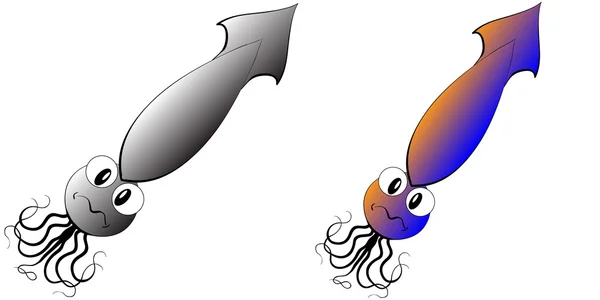 Two squids — Stock Vector