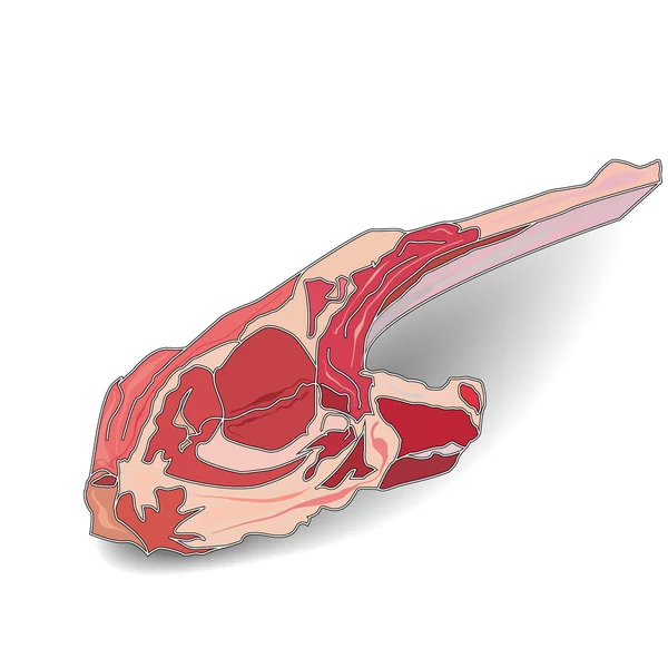Bárányhús — Stock Vector