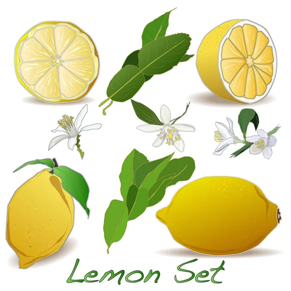 limon seti