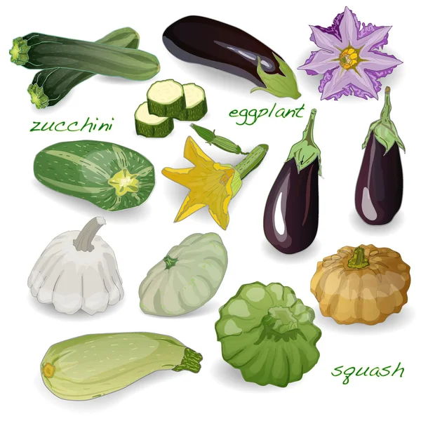 Grönsak som isolerade — Stock vektor