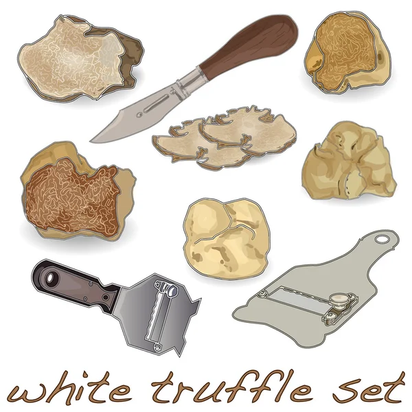 Ensemble truffe blanche — Image vectorielle