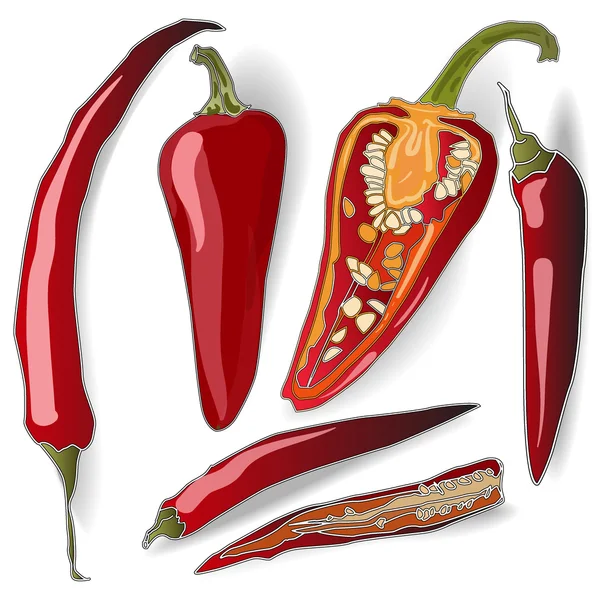 Chilli pepper isolated set — Stock Vector