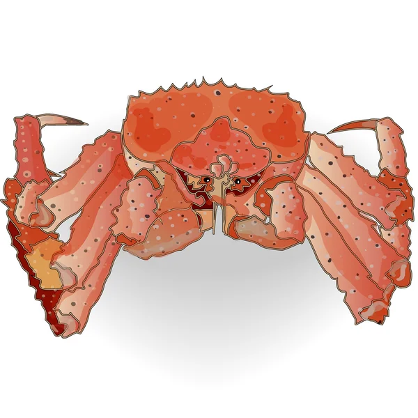 Crabe isolé fond blanc — Image vectorielle