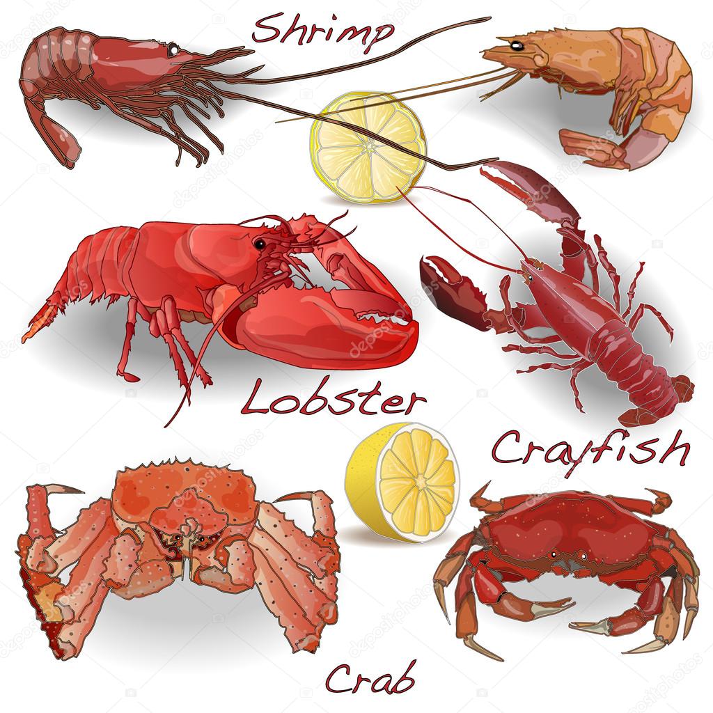 Crab on sale and lobster