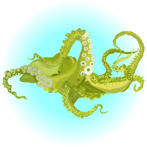 Desenho vetorial de um polvo / Kraken — Vetor de Stock
