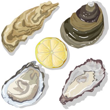 Limonlu shucked istiridye 
