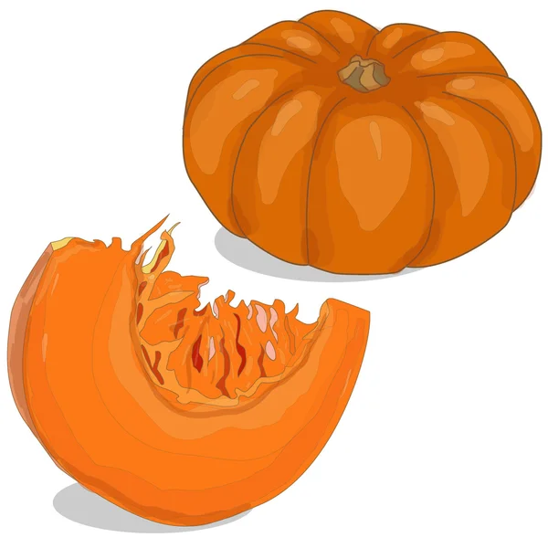 Pedazo de calabaza — Vector de stock