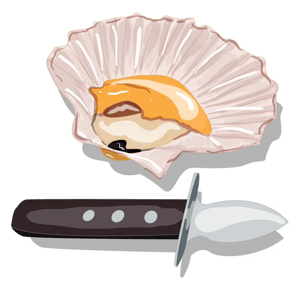 Scallop vector image isolated — Stock Vector