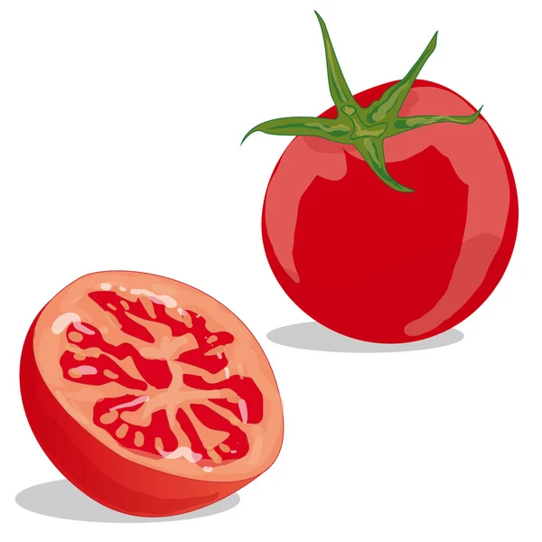 Tomate isolado sobre fundo branco —  Vetores de Stock