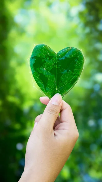 Handen Met Groene Hartbladeren Zijn Wereldkaart Plant Een Boom Het — Stockfoto