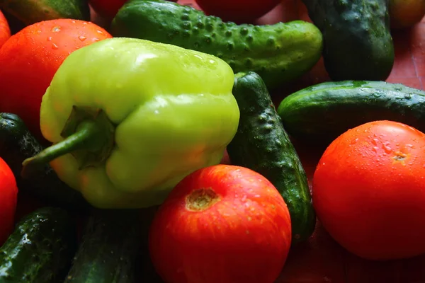 Laid fresh whole vegetables — Stock Photo, Image