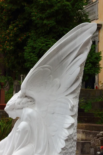 Grieving angel statue — Stock Photo, Image