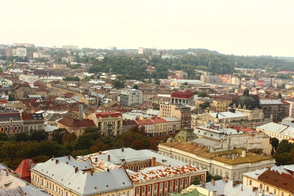 Lviv şehrin Üstten Görünüm