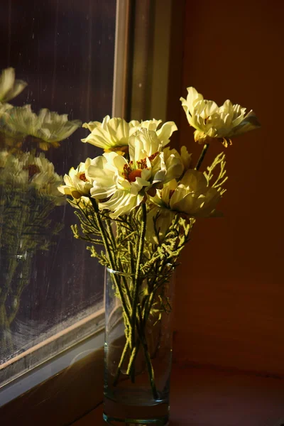 백인 섬세 한 꽃 — 스톡 사진