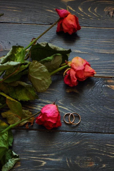 Rosas marchitas y anillos de boda —  Fotos de Stock