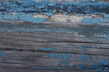 yaşlı bir ağaç arka plan