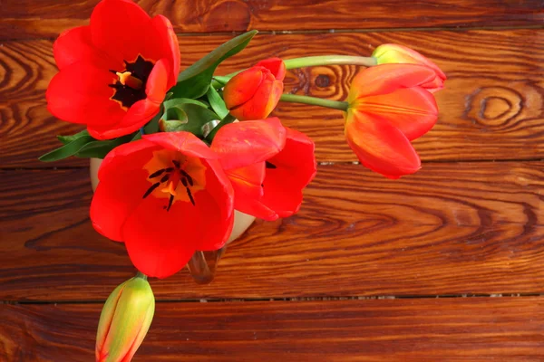 Hermosos tulipanes rojos —  Fotos de Stock