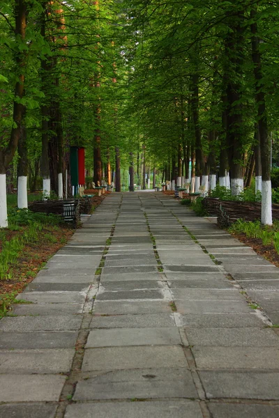 Walk in the park — Stock Photo, Image