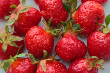 taze kırmızı çilek