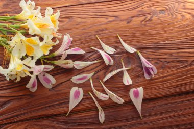 dalları ve yaprakları alstroemeria