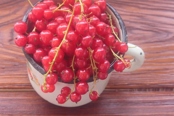 Health red currant — Stock Photo, Image