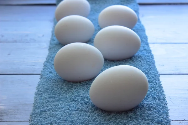 Ovos na fila — Fotografia de Stock