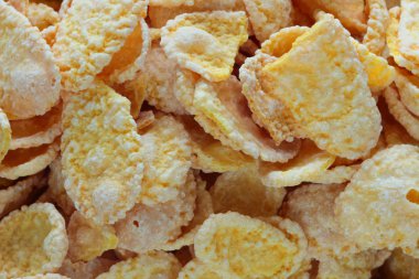 Mısır gevreği portre