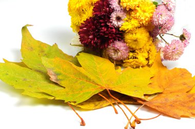 Sonbahar renkleri içinde