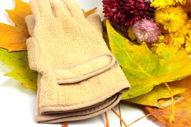 Sonbahar renkleri içinde