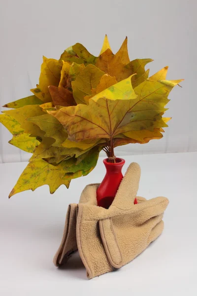 Still of autumn leaves — Stock Photo, Image