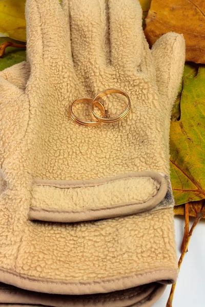 Autumn wedding rings — Stock Photo, Image