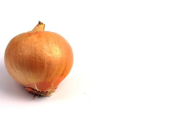 A healthy onion — Stock Photo, Image