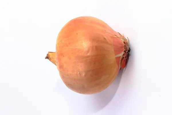 A healthy onion — Stock Photo, Image