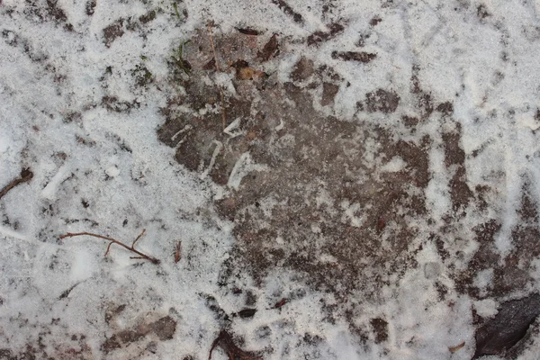 Текстура снігу — стокове фото