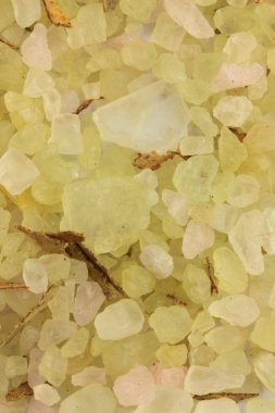 deniz tuz parlak uçuk yeşil