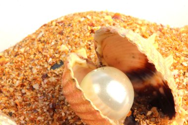 Farklı deniz rakamlar