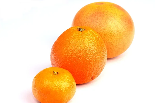 Uppsättning av citrus — Stockfoto