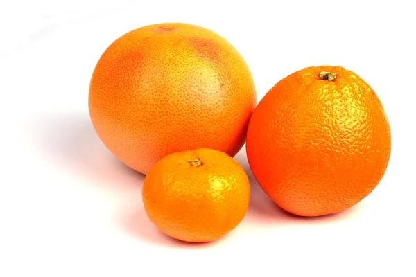 Uppsättning av citrus — Stockfoto