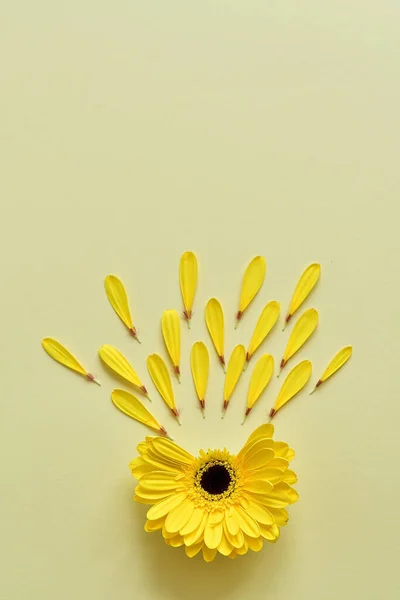Kreatywny Układ Wykonany Żółtych Płatków Gerbera Minimalne Tło Nastroju Natury — Zdjęcie stockowe