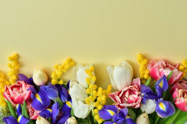 Sarı arka planda parlak bahar buketi. Beyaz laleler, irisler, nazik mimozalar. Heyecan verici. Anneler Günü ya da Kadınlar Günü için bahar kartı, Sevgililer Günü. Kopyala lütfen. Seçici odak