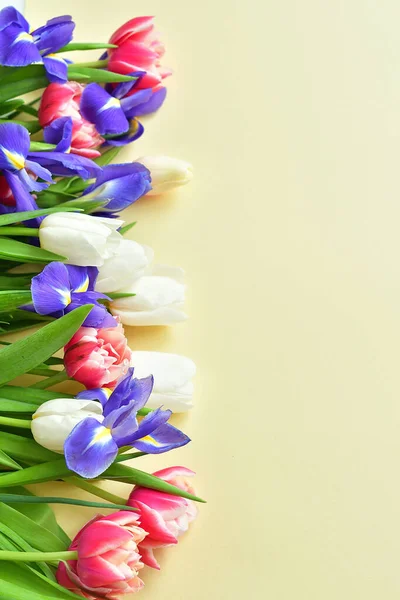 Ramo Primavera Brillante Sobre Fondo Amarillo Tulipanes Blancos Iris Mimosa — Foto de Stock