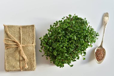 Turp tohumu ve mikroyeşil, beyaz arka planda keten hasırlar. Bitki yetiştirmek için doğal bir temel. Pencere kenarında vitaminler. Vejetaryen ve sağlıklı yiyecekler. Avitaminosis. Seçici odaklanma.