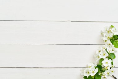 Çiçek açan beyaz kiraz, bezelye çiçekleri, çiçek açan kiraz makrosu dalları ve yumuşak odaklı. Paskalya ve bahar tebrik kartları. İlkbahar Seçmeli Odaklanma