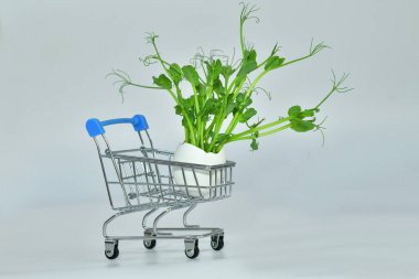 Young sprouts of microgreen pea in a shopping trolley on a white background. Fresh eco micro greens for sale. Healthy superfood , delivery service..Selective focus.Copy space clipart