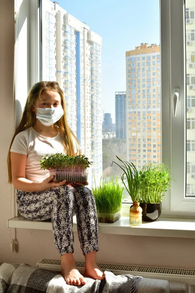 窓辺の植物に水をやる保護マスクのヨーロッパの女の子は 植物の世話をします 箱の中のマイクログリーンと窓辺の噴霧器選択的な焦点 — ストック写真