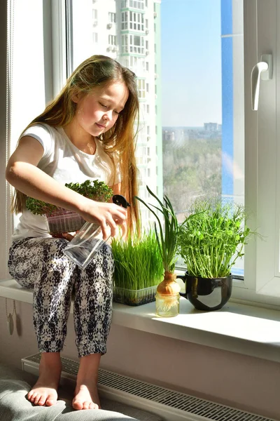 Девушка Полива Растений Windowsill Self Изоляции Карантина Хобби Микро Зеленые — стоковое фото