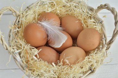 Beyaz arka planda organik yumurta sepeti. Paskalya yumurtası. Bahar kompozisyonu. Kapatın. Kıvrımlı Odaklanma